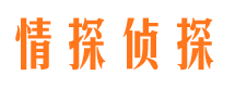 抚远市私家侦探